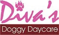 Macomb County Pet Sitting Services - Diva's Doggy Daycare