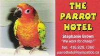 Welcome to www.parrothotel.ca
