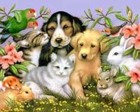 Always There Pet Care - At-Home Personal Care for Your Pet(s)