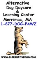 Merrimac Pet Sitting Service
