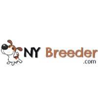 NY Pet Sitting Service