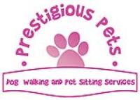 Dallas Dog Walkers and Pet Sitters