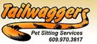 South Jersey - Sewell - Gloucester County - Pet Sitting - Tailwaggers